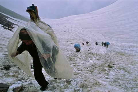 Công cuộc săn lùng 