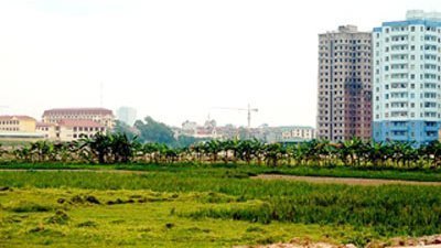 Cử tri Hà Nội muốn bớt thủ tục về đất đai