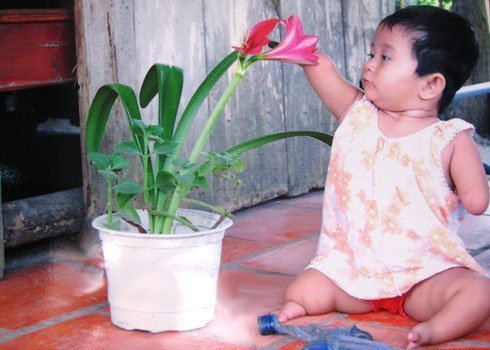 Hành động cụ thể vì nạn nhân chất độc da cam Việt Nam