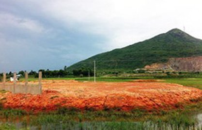 Vụ “đại gia” bán hơn 100 ha đất: Kịch bản dàn dựng quá công phu