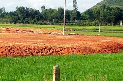 Đại gia TQ: Tôi không hiểu luật VN, bị 