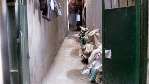 Chiêu trả thù quái đản: Vứt chuột chết vào nhà hàng xóm