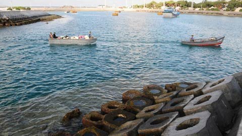 Công bố nhiều luật mới quan trọng