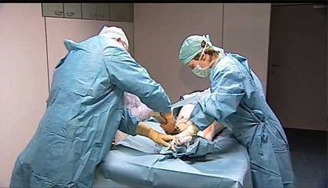 Lần theo các hoạt động buôn xác người (PI)