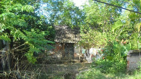 Mảnh đất bị nguyền rủa và người đàn ông nghèo kiết xác đi xế hộp