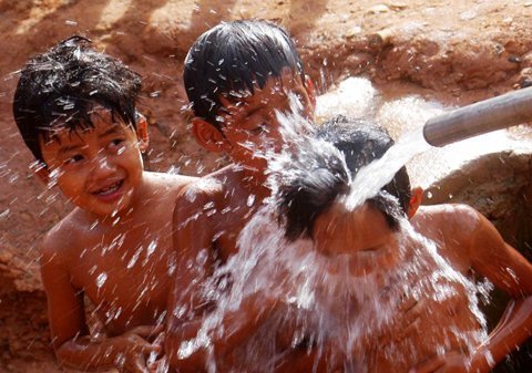 Thành cọ mốc xì meo