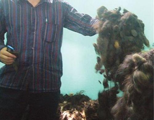 Nghề buôn 'góc con người' và kỹ xảo 'thịt' nhau