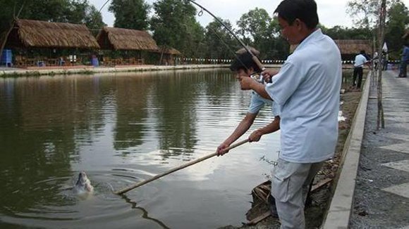 Kinh doanh câu cá: Mơi khách bằng cả mại dâm