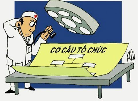 Vai trò của CEO trong quá trình tái cấu trúc DN