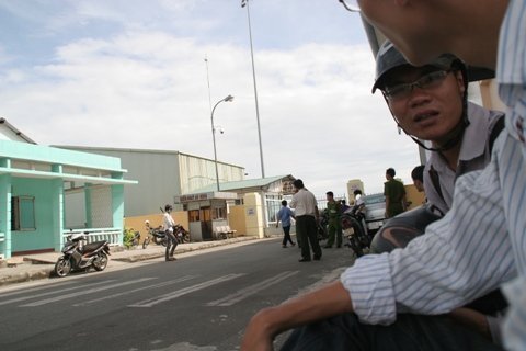 Đóng cửa sân bay để khống chế bò tót