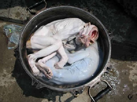 Những thú ăn chơi quái đản của đại gia Việt