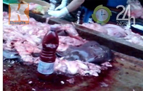 Lòng lợn, tiết canh pha nước thải