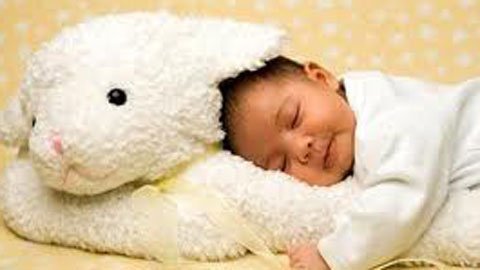 Sinh sống ở Úc, muốn nhập quốc tịch Việt Nam cho con