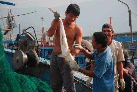 Đà Nẵng: Chấn chỉnh tư thương và bác sỹ TQ