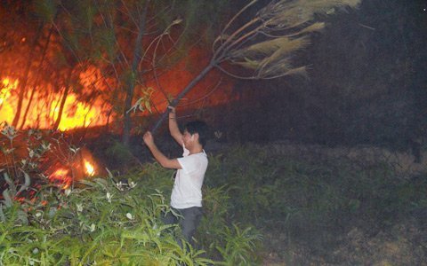 5 vụ cháy rừng liên tiếp, nghi bị đốt
