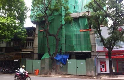 Hà Nội: Kiên quyết 'cắt ngọn' nhà sai phép