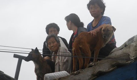 Mưa lũ tàn phá Triều Tiên