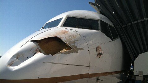 Máy bay Boeing bị chim đâm thủng