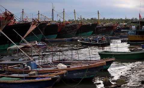 THX chính thức thông báo 9.000 tàu cá ra Biển Đông