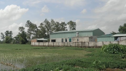 Thanh Oai: 'Bẻ' pháp luật 'lượn' theo ý dân