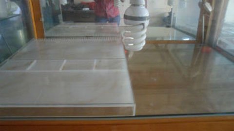 Ôsin đánh thuốc mê chủ nhà, cướp 2 tỉ đồng