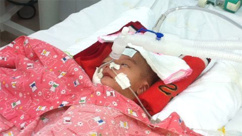 Trái tim non nớt đang thoi thóp