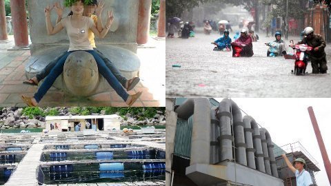 'Vịt già xấu xí' và chuyện... mùi đồng!