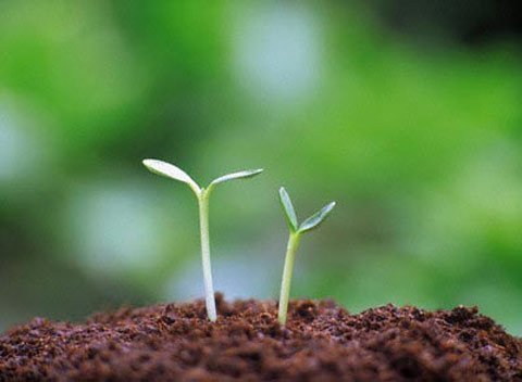 SOS thứ bậc VN trên xếp hạng trí tuệ toàn cầu