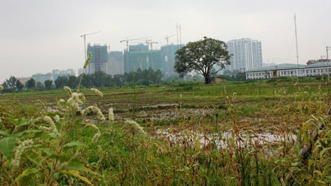 Nước mắt những “đại gia chân đất”