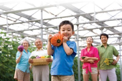 Tập đoàn TH ra mắt sản phẩm mới Rau sạch TH true VEG