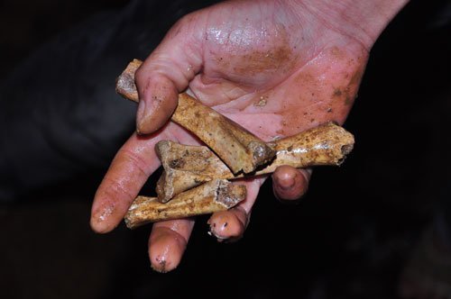 Mò xương dưới hang ‘chôn 70 gánh vàng’ ở Cao Bằng