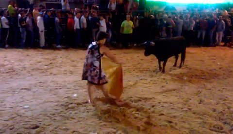 Quý bà say rượu trêu bò tót