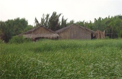 Bên kia là Phú Mỹ Hưng