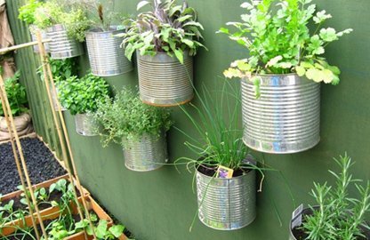 Vườn rau đẹp xinh trong nhà phố