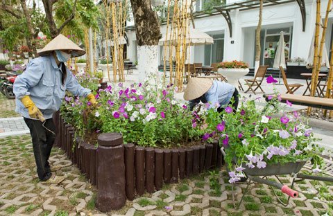 300 nông dân được Ecopark hỗ trợ đào tạo nghề