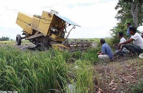 Thế giới 24h: Le lói khủng hoảng lương thực toàn cầu mới