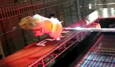 10 clip 'nóng': Vũ nữ múa cột sexy ngã lộn cổ