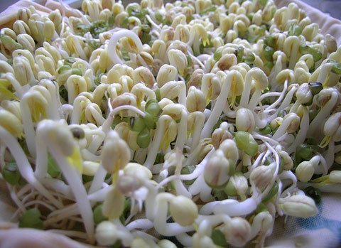 Điểm mặt thực phẩm tẩm hóa chất tại VN