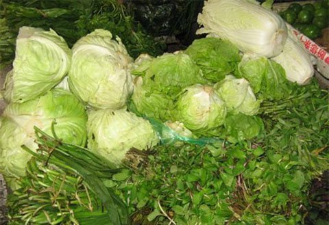 Nghi tử vong sau khi ăn bắp cải trái mùa