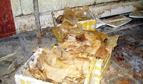 Làm vỏ xúc xích từ lòng lợn thối