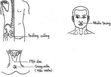 Đừng để… chết khi lên ngựa