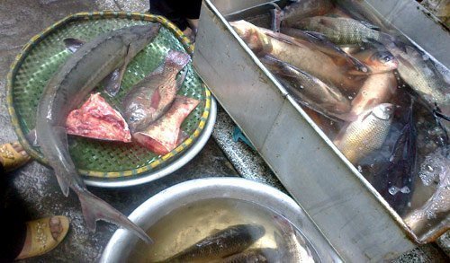 Đặc sản len vào chợ cóc: Tiền nào của ấy