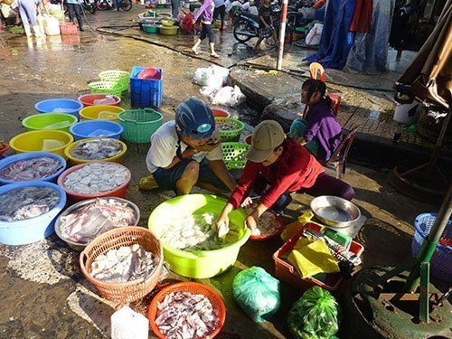 Mực ngon nhờ... hóa chất!