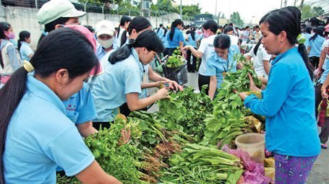 “Sống mòn” với thu nhập thấp