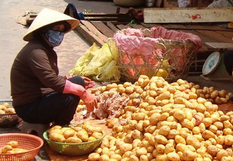 Nhiều hàng Trung Quốc nhái hàng Đà Lạt