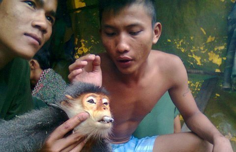 VN vẫn đang là điểm nóng về buôn ‘hàng con’