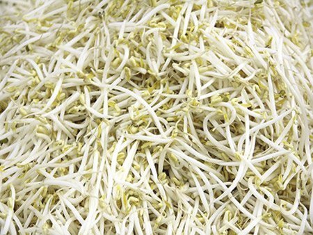 Giá đỗ tại Hà Nội không chứa hóa chất độc hại
