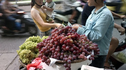 Bán nho Mỹ 'dỏm' thu nhập ngang... giám đốc