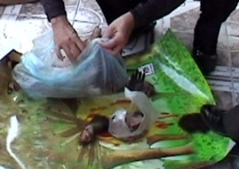 Bày bán thịt khỉ ngay tại chợ trung tâm