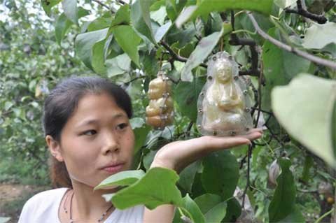 Chiêm ngưỡng lê hình tượng Phật